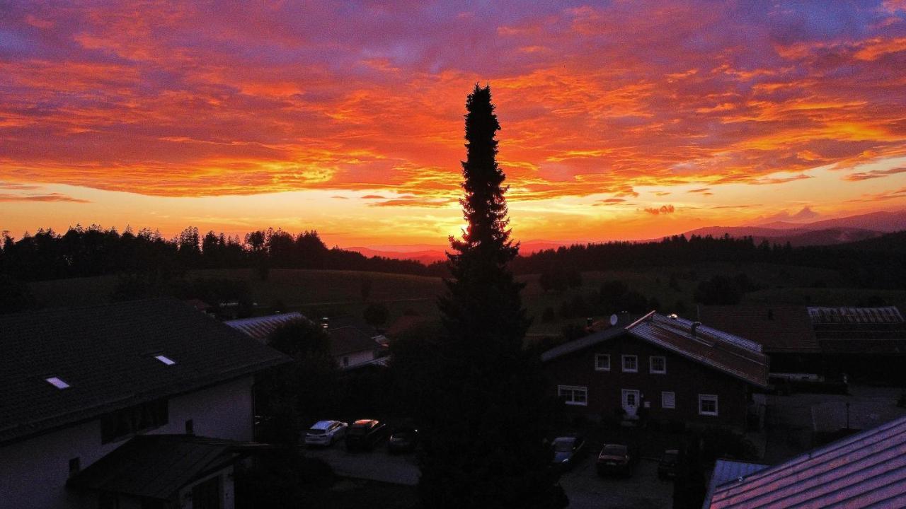 Zur Neuen Post Landgasthof Herzogsreut 외부 사진