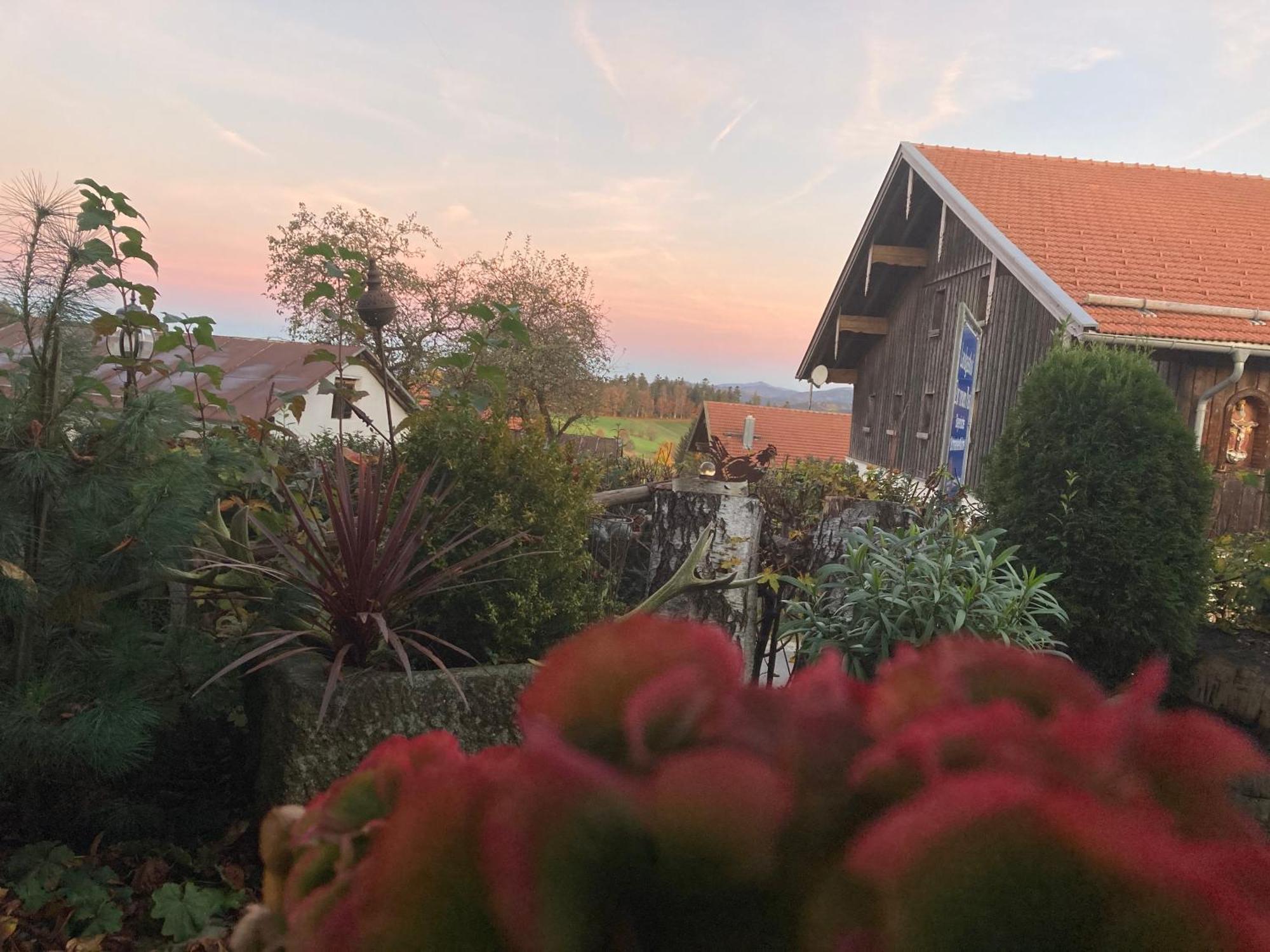 Zur Neuen Post Landgasthof Herzogsreut 외부 사진