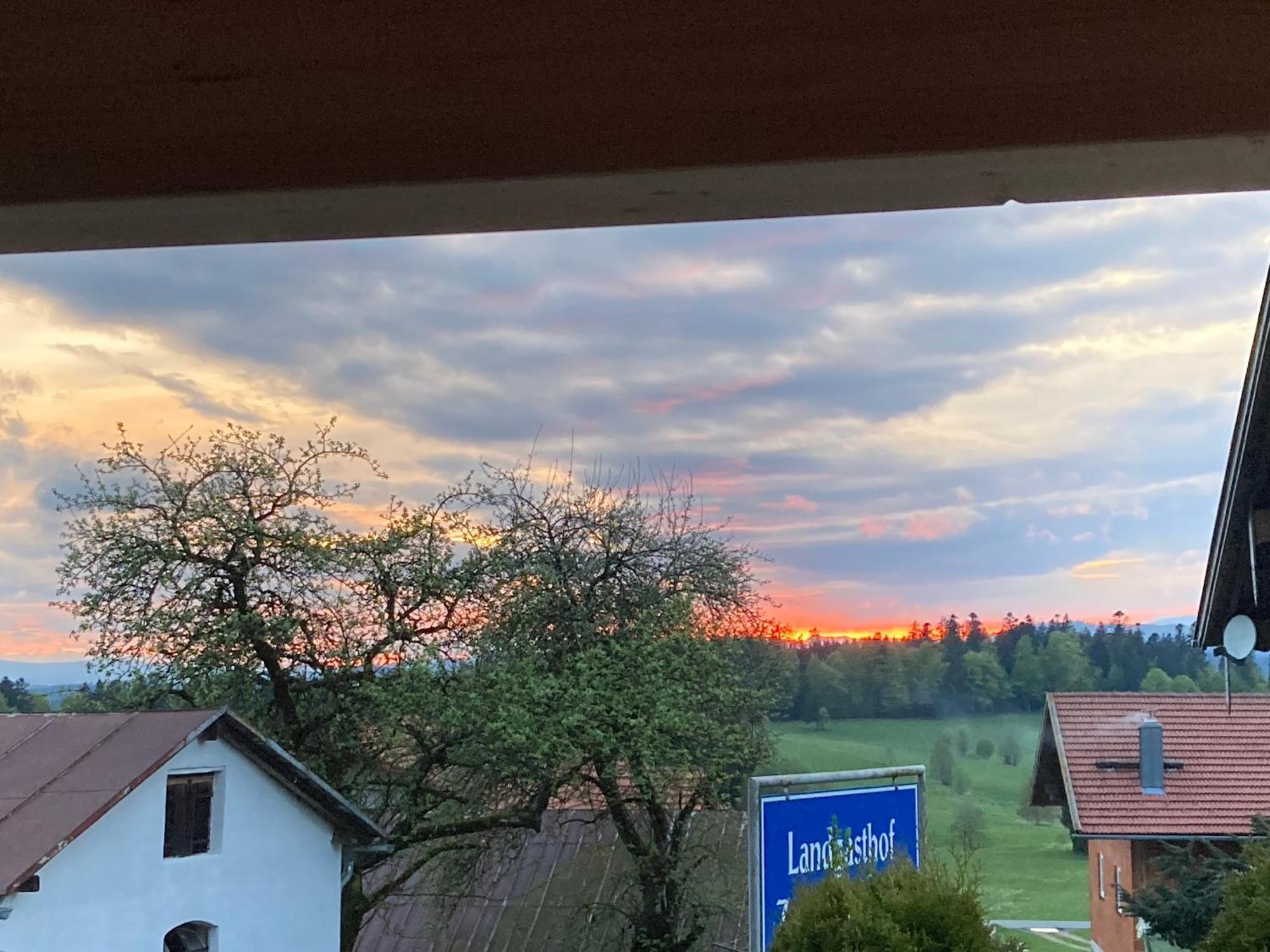 Zur Neuen Post Landgasthof Herzogsreut 외부 사진