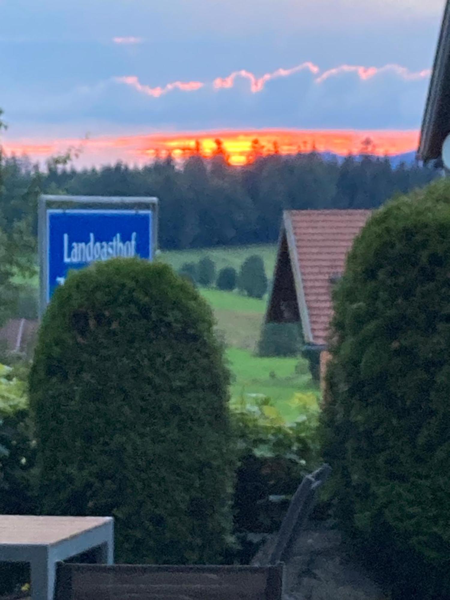 Zur Neuen Post Landgasthof Herzogsreut 외부 사진